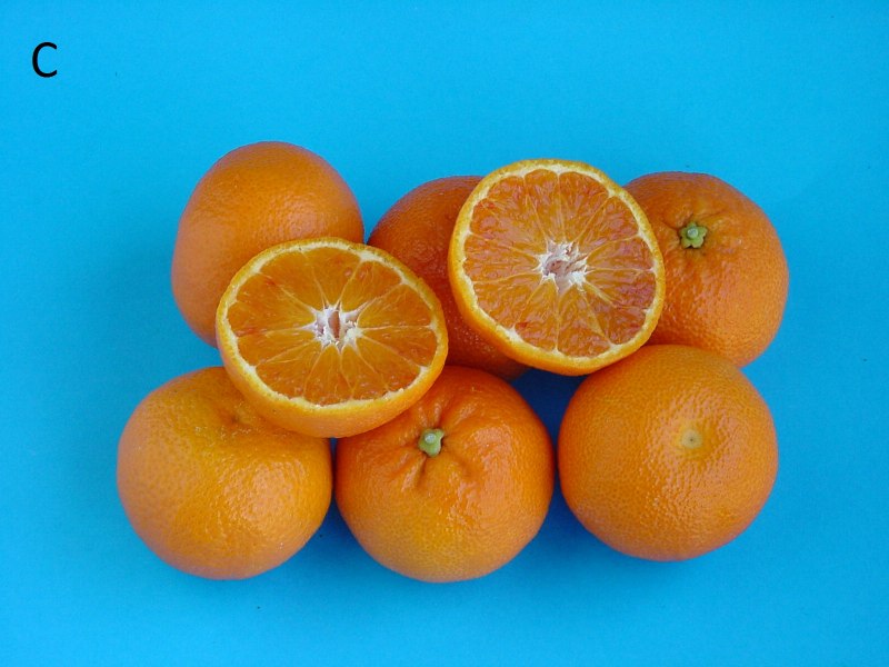 Декопан цитрус