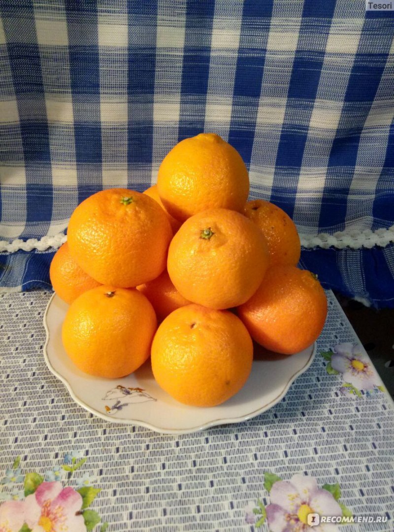 Цитрус каламондин