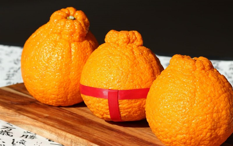 Мандарины сорта Клементины