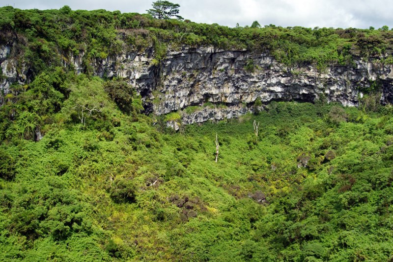Ботанический сад Траутмансдорф