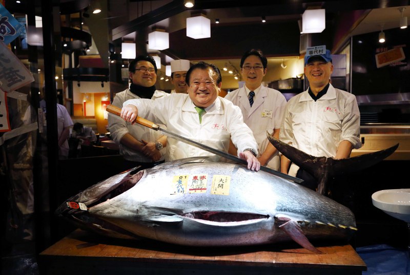 Длиннопёрый тунец