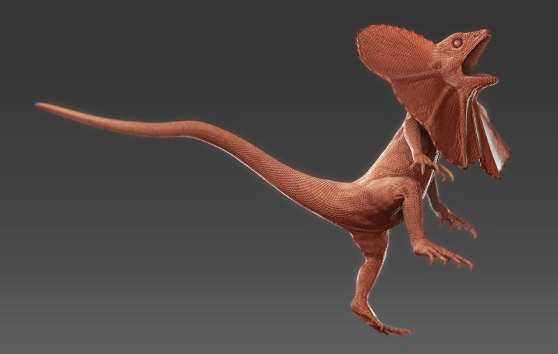 Плащеносная ящерица Василиск