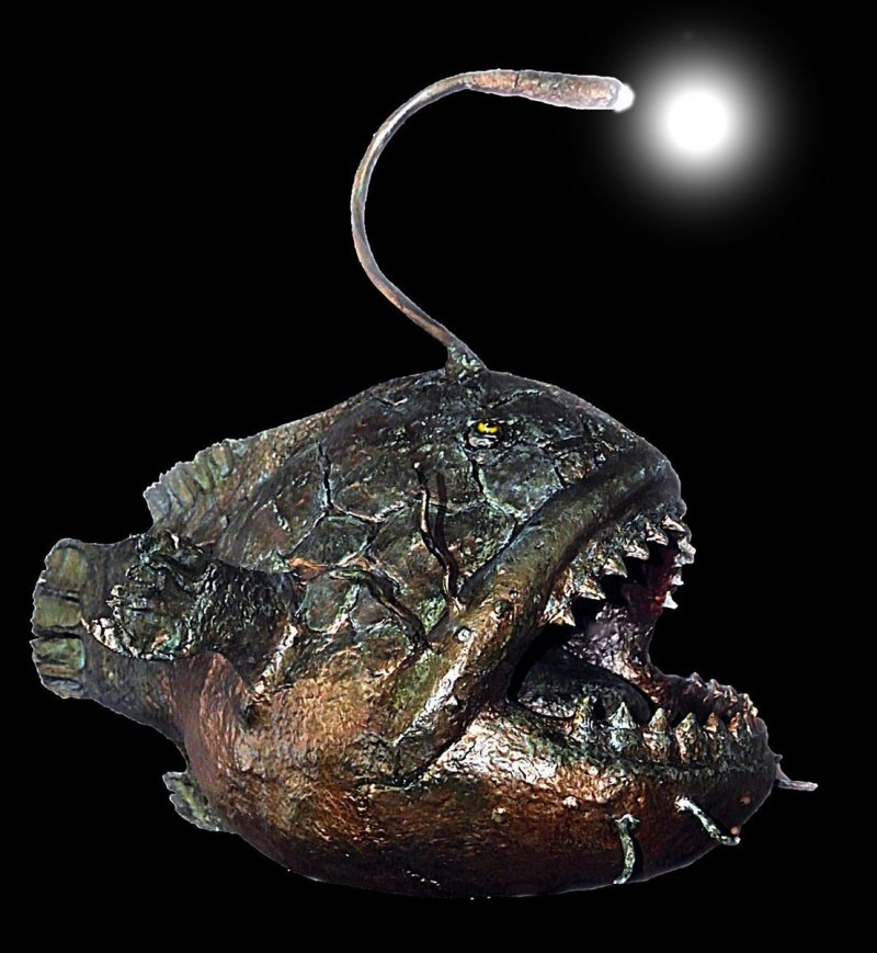 Глубоководный удильщик гимантолоф