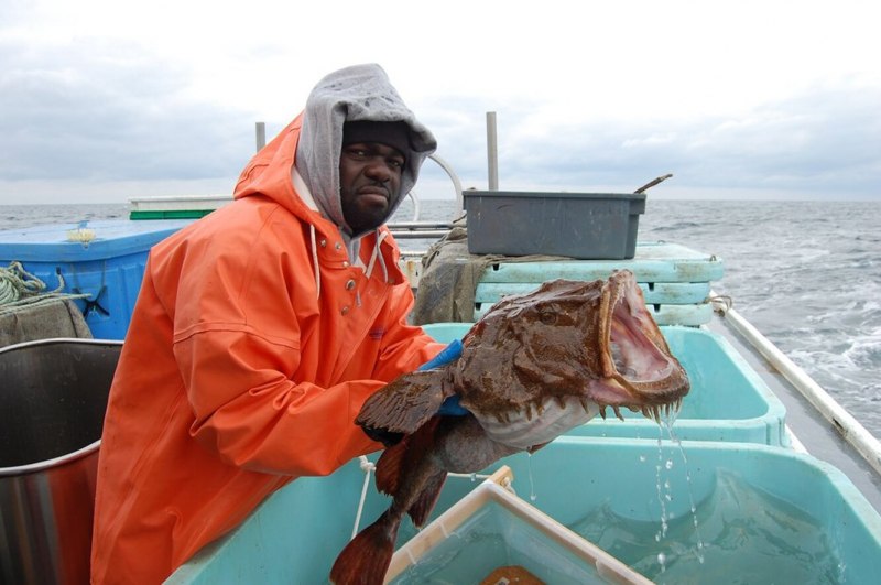 Глубоководные рыбы