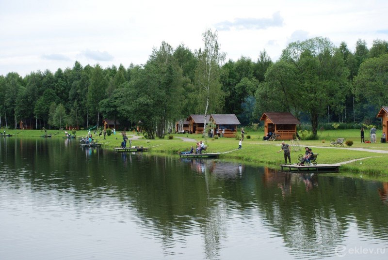 Карась в сетях