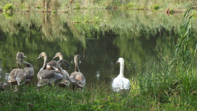 Рыбалка с друзьями