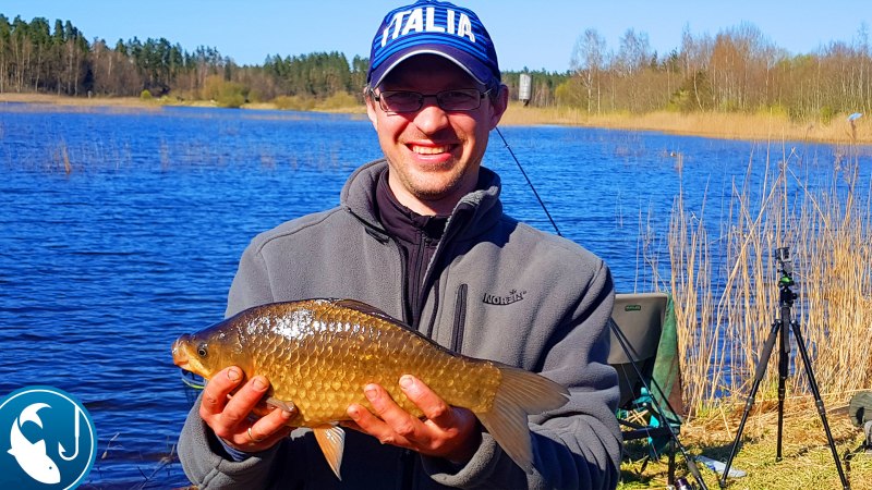 Амурский сазан