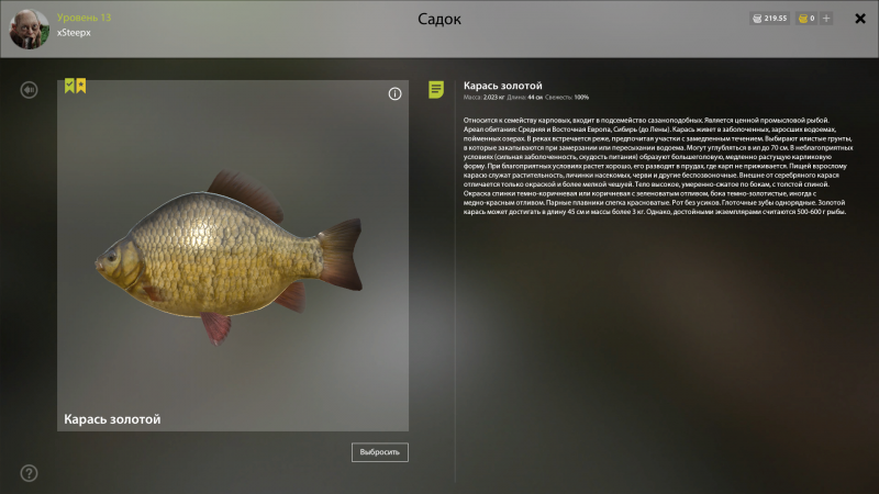 Карась желтяк