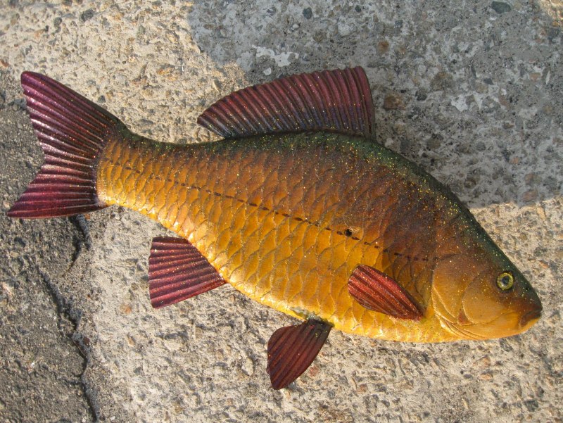 Золотой Карасик