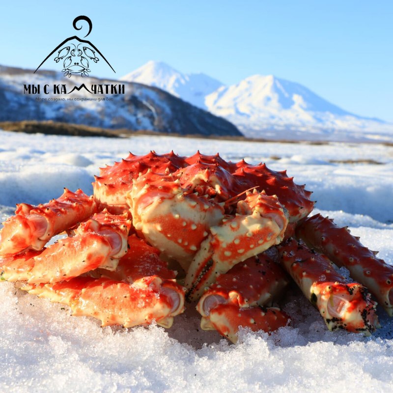 Аляскинский Камчатский краб