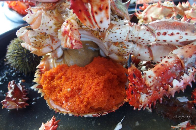 Крабы икра Камчатка