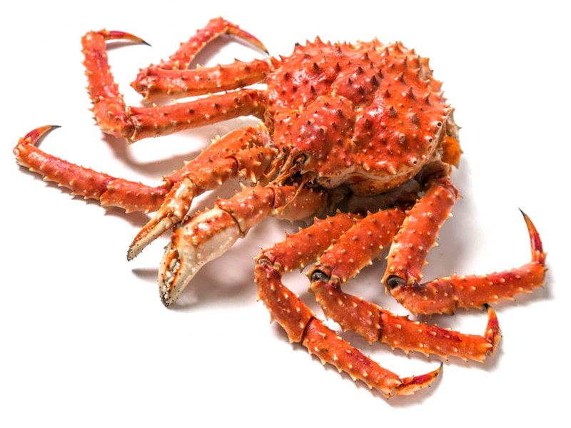 Камчатский Королевский краб