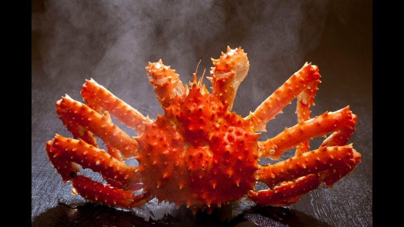 Alaskan King Crab