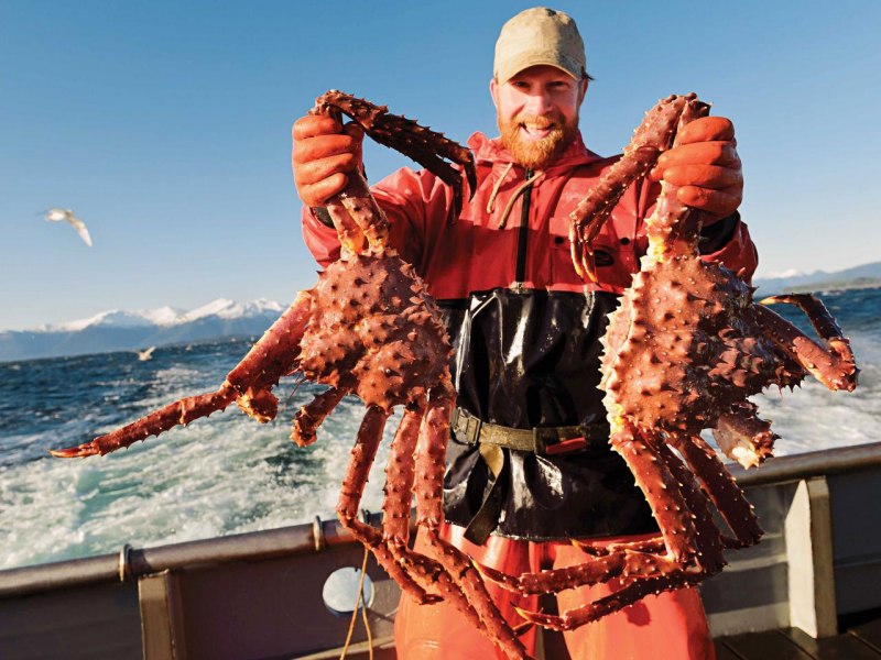 Краб Камчатский