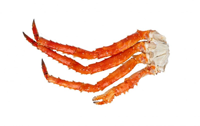 Фаланга краба волосатика