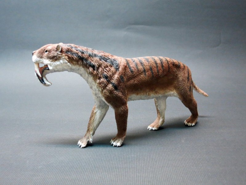 Тилакосмил сумчатый Саблезубый тигр