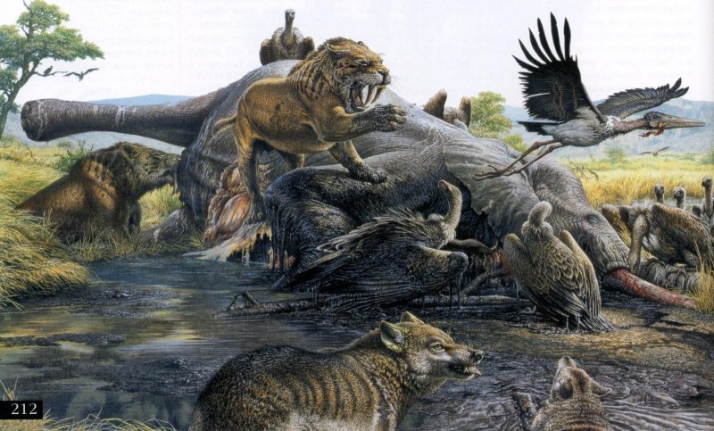 Смилодон арт