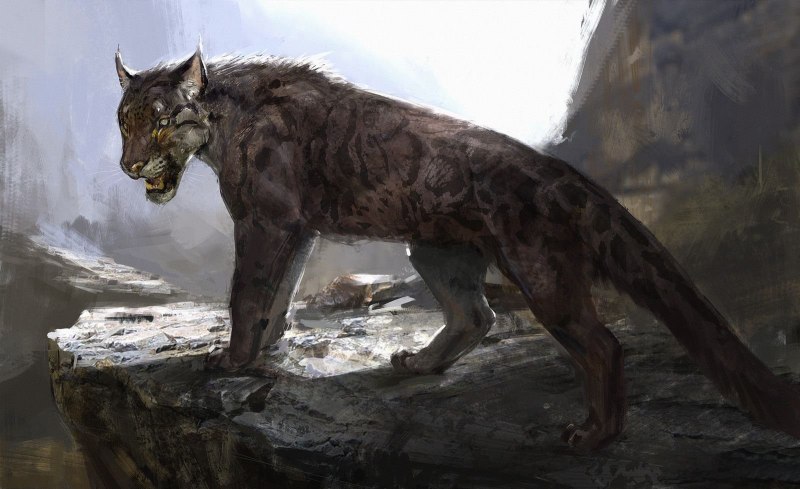 Помесь волка и тигра