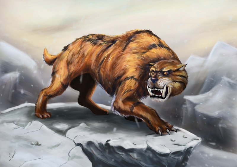 Забу Саблезубый тигр