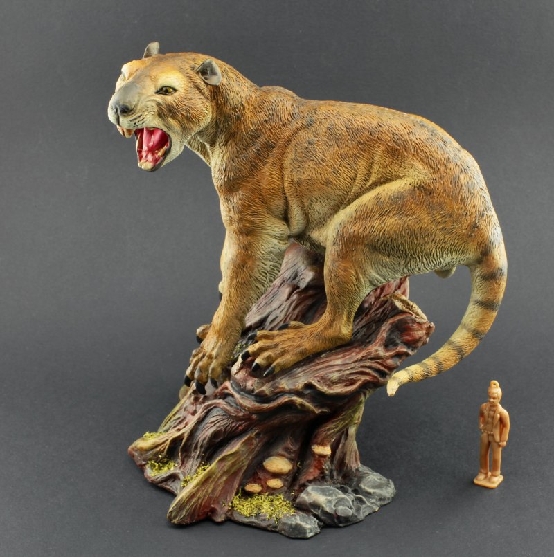 Саблезубый гепард