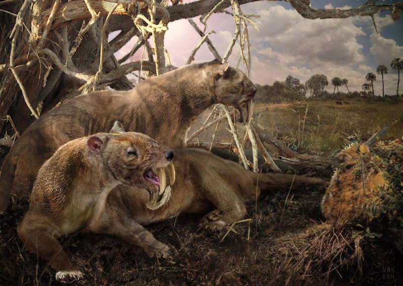 Рисунки злых животных