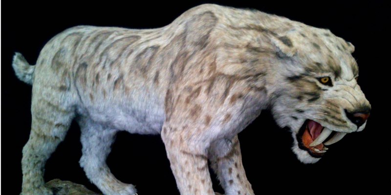 Ракшас (оборотень-тигр)