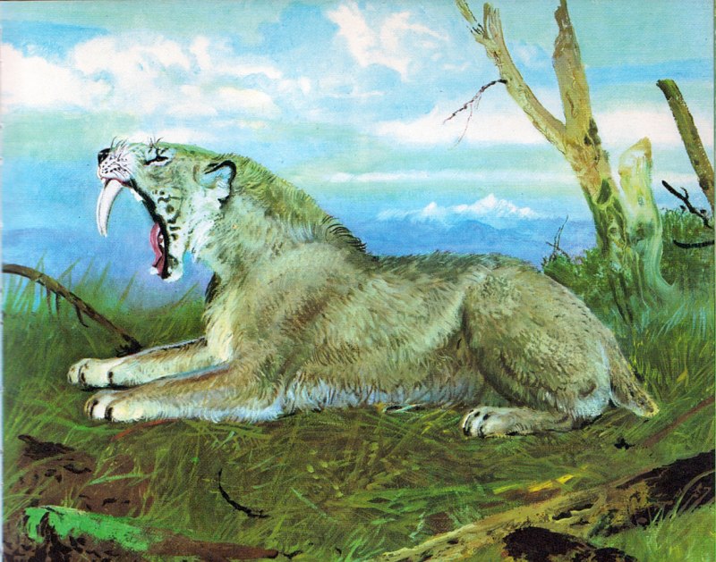 Зденек Буриан пещерный медведь