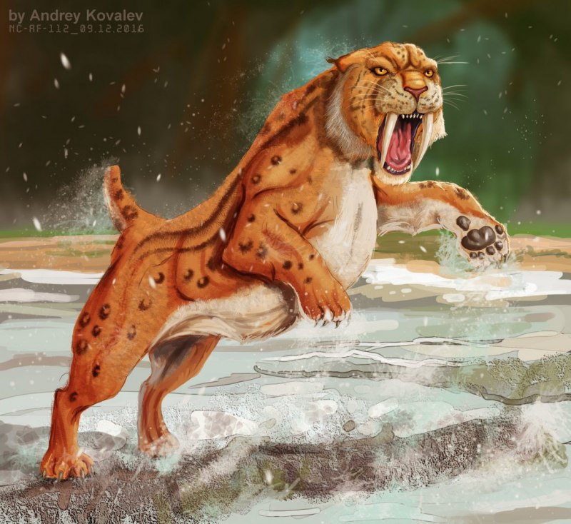 Пума против Льва