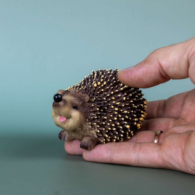 Эфиопский ёж