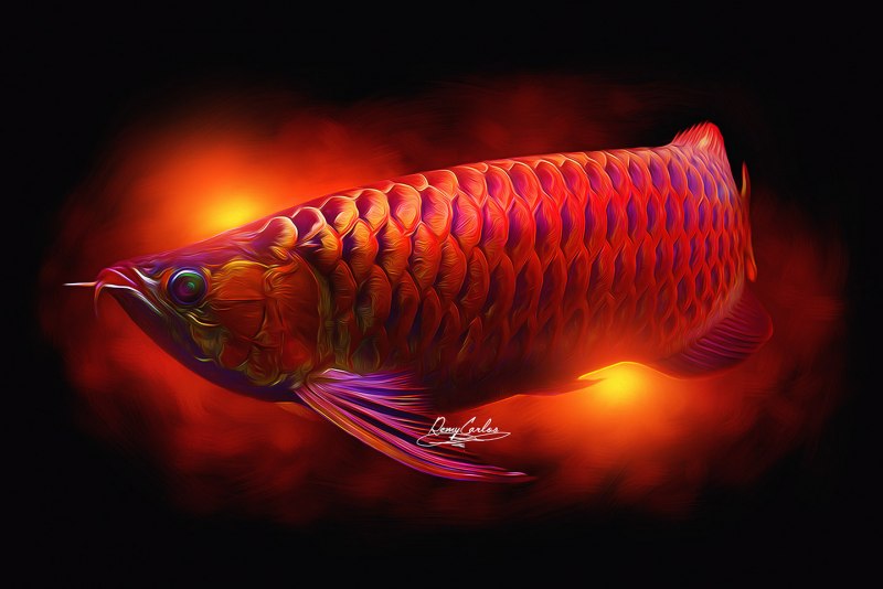 Светлая Аравана Аравана