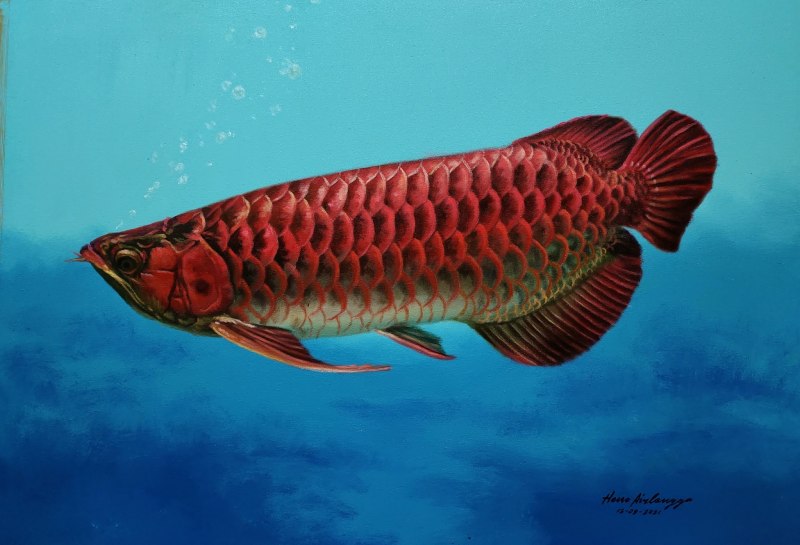 Арована Джардини