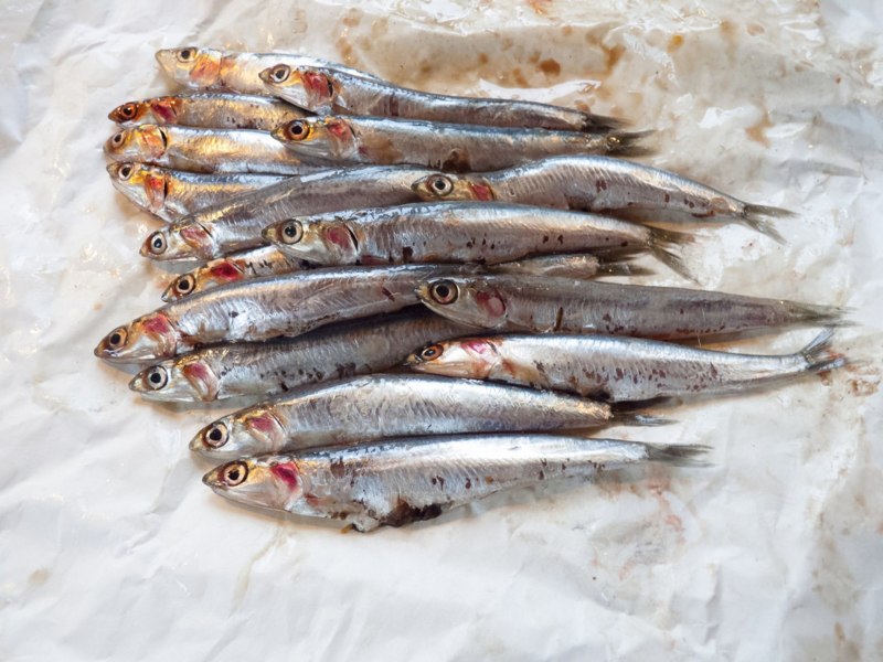 Перуанский анчоус Омега