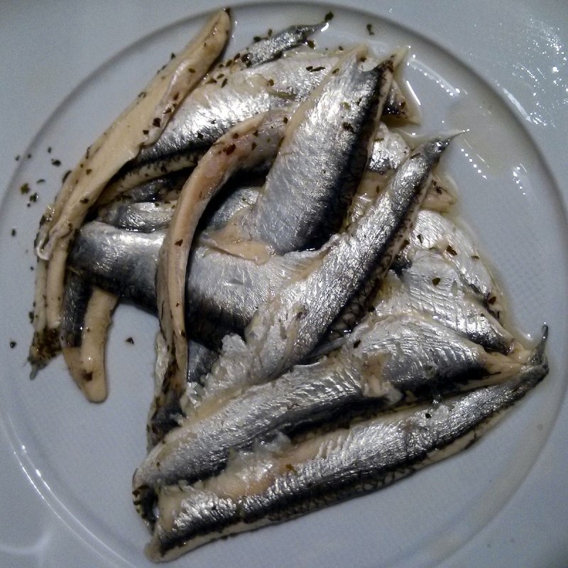 Европейский анчоус Хамса