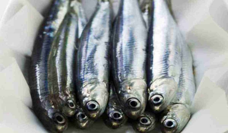 Хамса Черноморская соленая