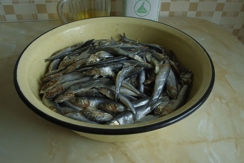 Хамса анчоус