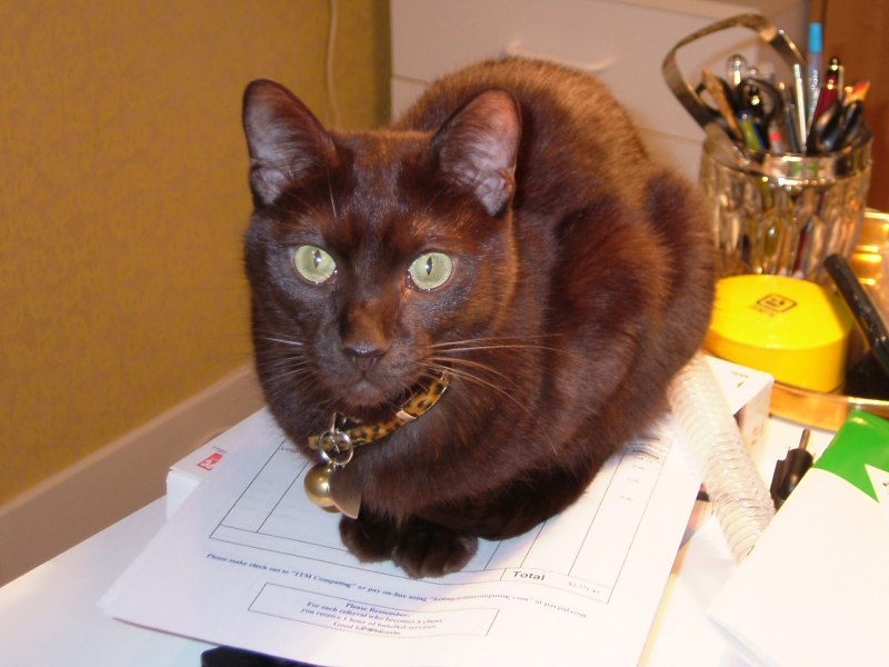 Ориенталы Гавана