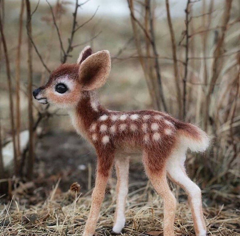 Гон у водяных оленей