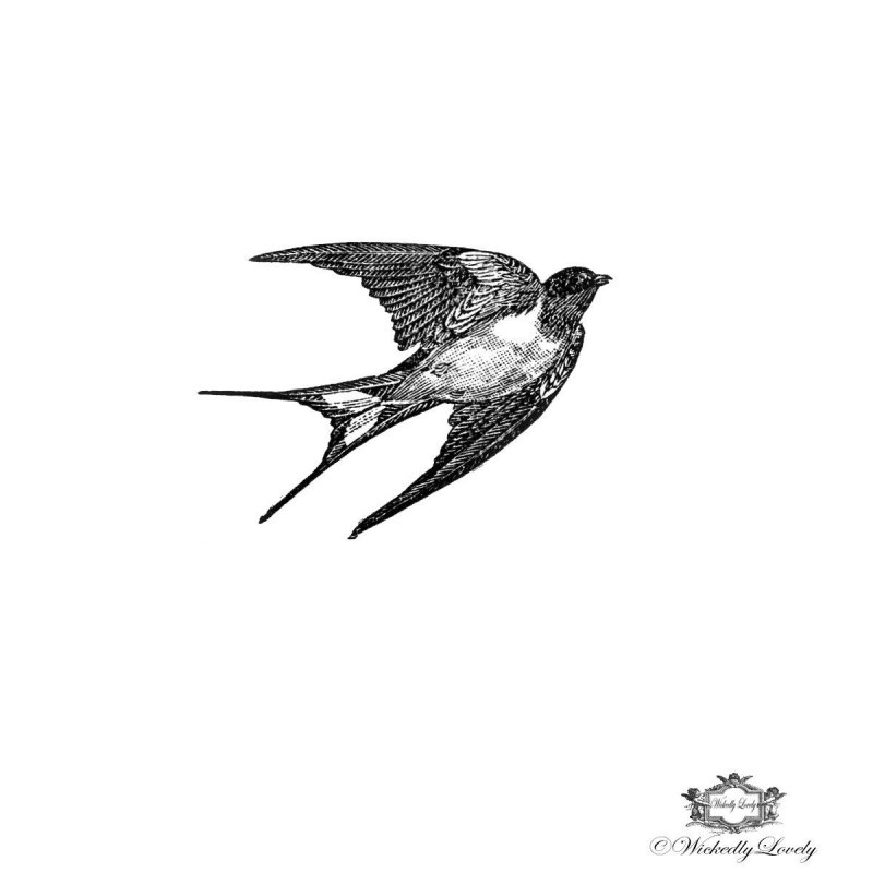 Гнездо ласточки картинка для детей