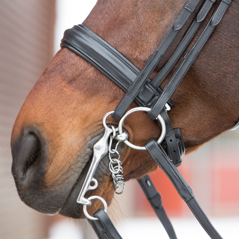 George Kieffer мундштучное оголовье