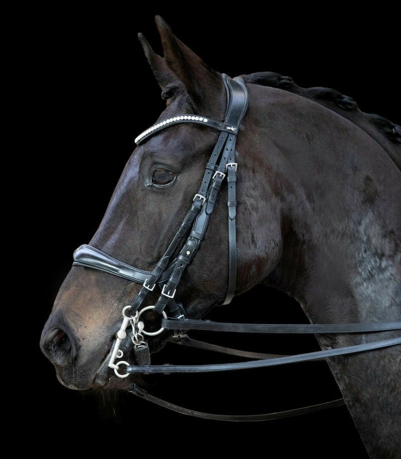 Оголовье - Schockemohle Sports Alpa