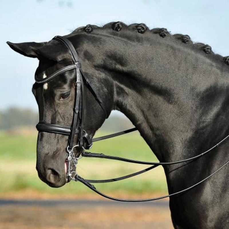 Мундштучное оголовье выездка