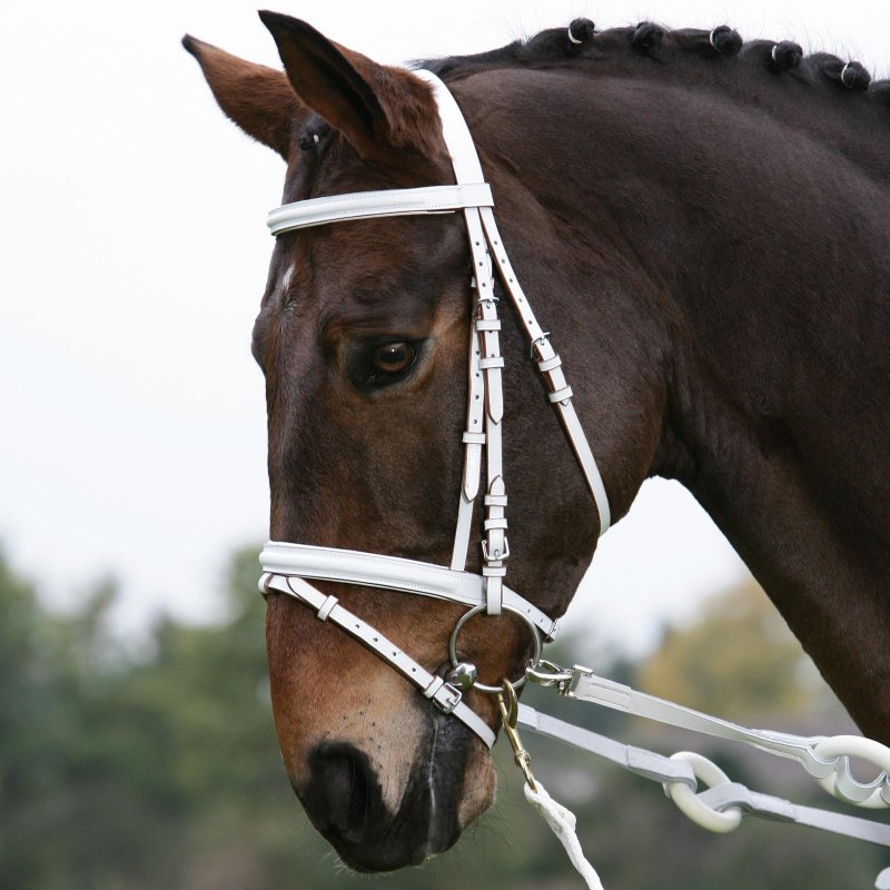 Waldhausen уздечка Star