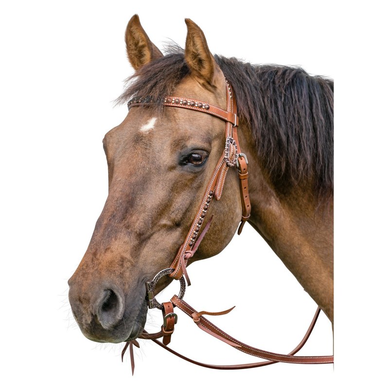 Вестерн недоуздок