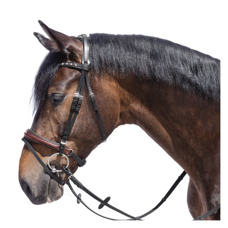 Средневековая уздечка для лошади