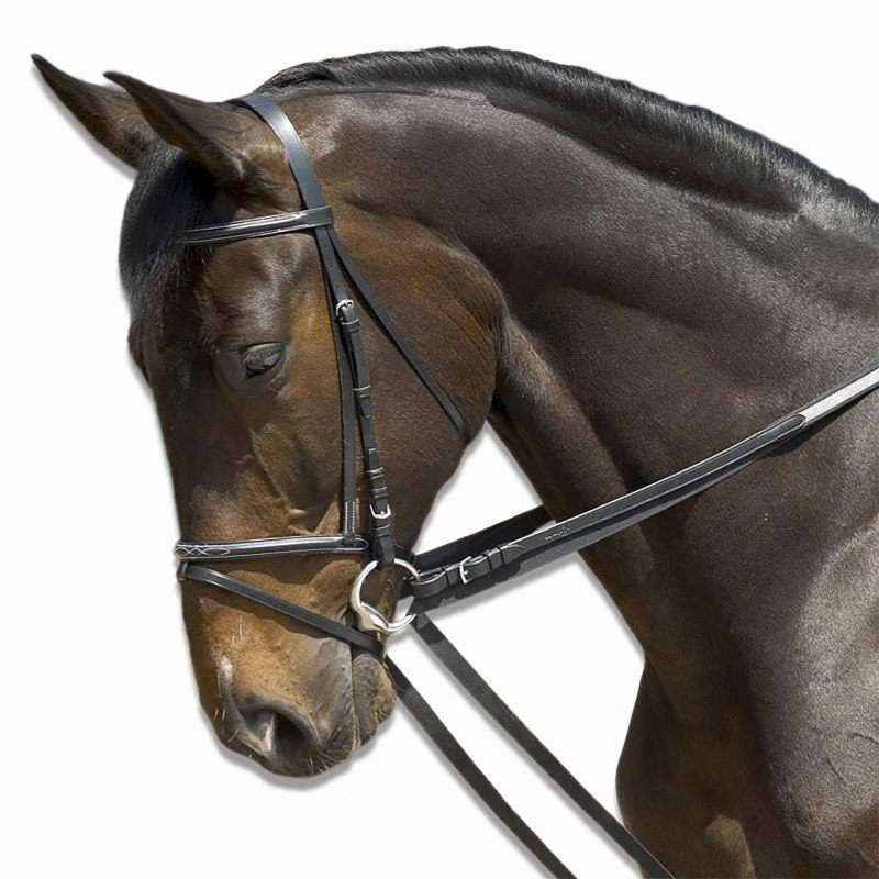 Уздечка Фуганза