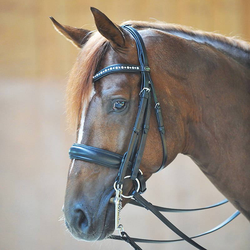 Мундштучное оголовье Horze