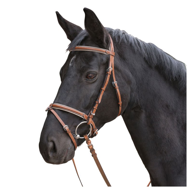 Шведский капсюль