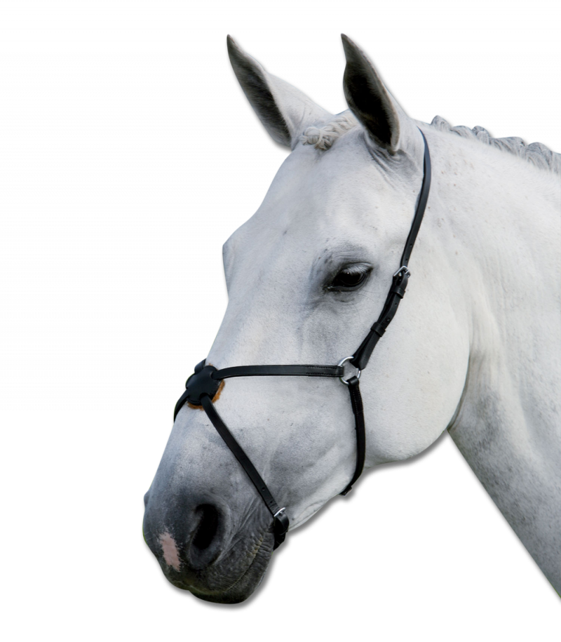 Ганноверский капсюль