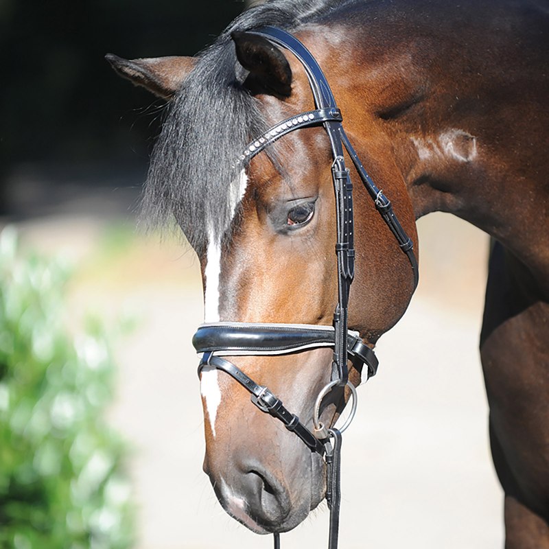 Уздечка Horze Constance