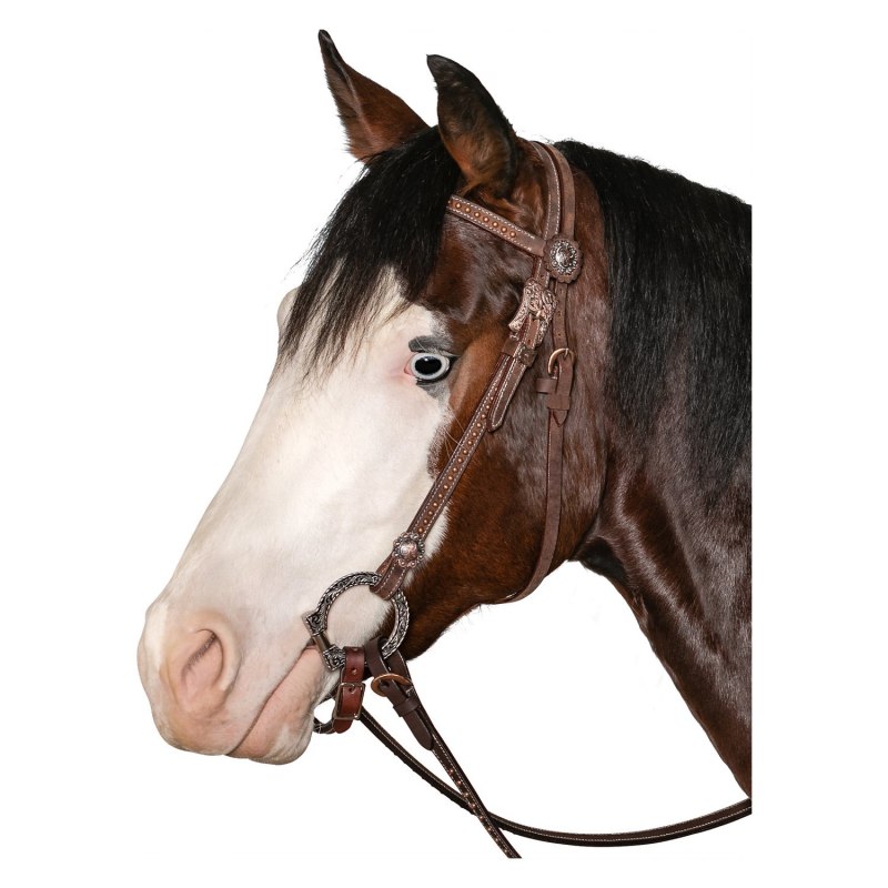 Уздечка для Шетти